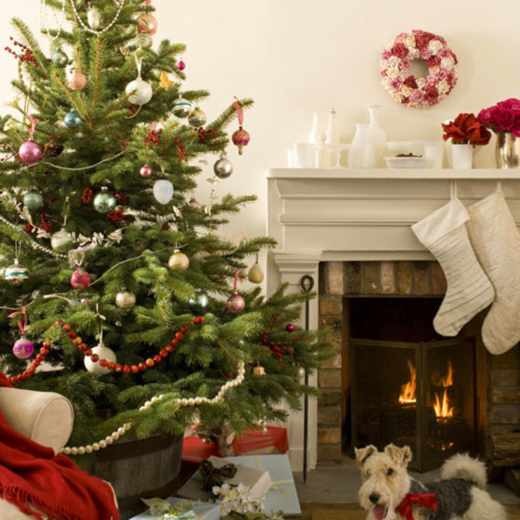 Escolhendo a árvore de Natal no blog Detalhes Magicos
