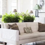 Permalink to Plantas dentro de casa plantas dentro de casa no blog Detalhes Magicos