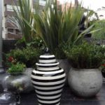 Permalink to Jardim em vasos jardim-de-vasos