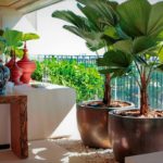 Permalink to Grandes plantas dentro de casa grandes-plantas-dentro-de-casa
