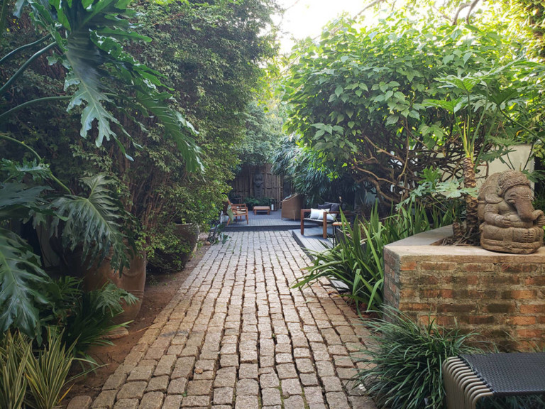 Café Jasmin Detalhes Mágicos